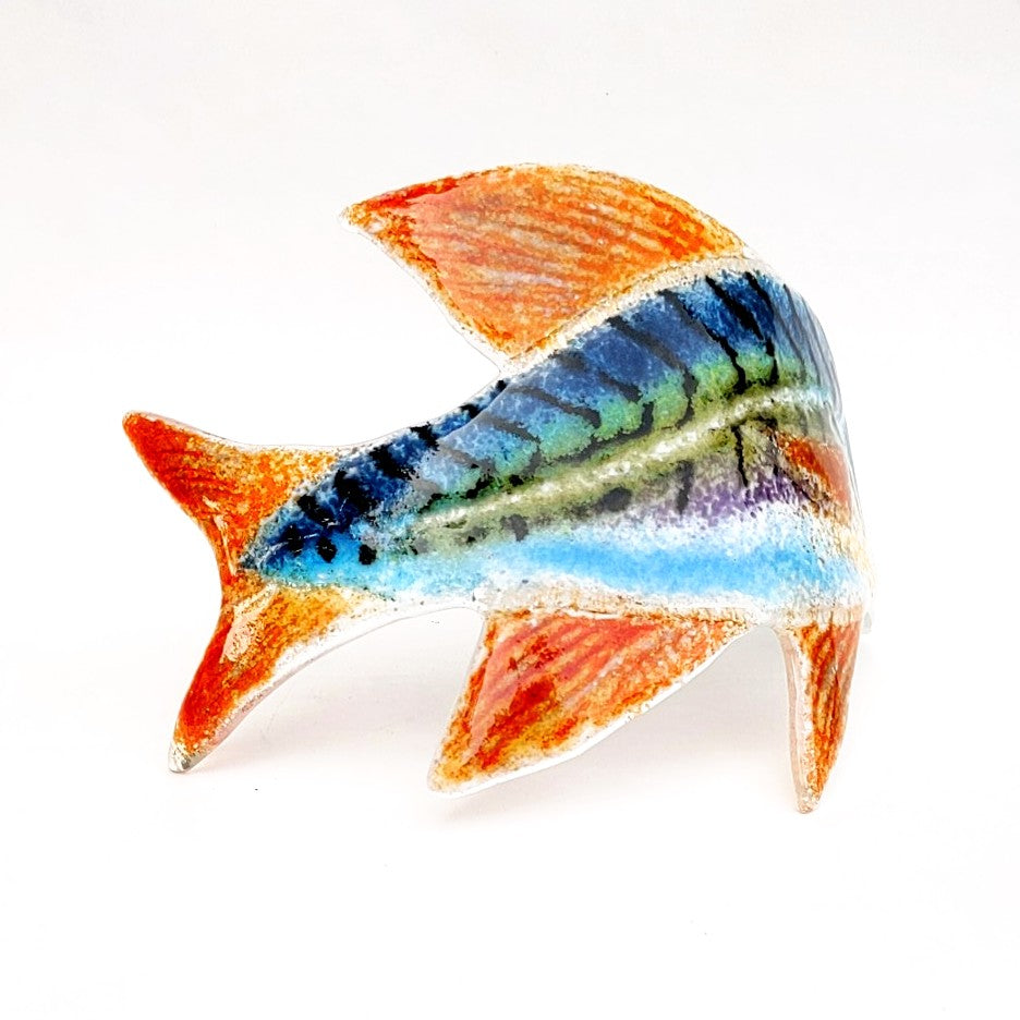 Curved Fused Glass Fish by Kiln Art
