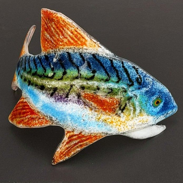 Curved Fused Glass Fish by Kiln Art