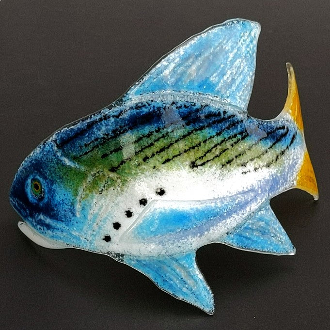 Curved Fish Curved Fish – Styll Gallery