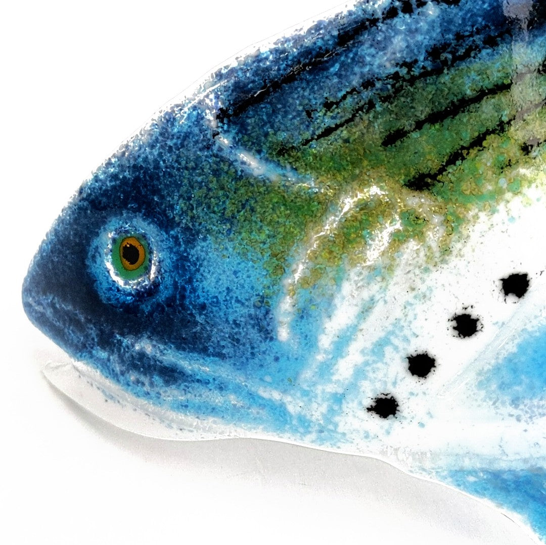 Fish Curve Curved Fish – Styll Gallery