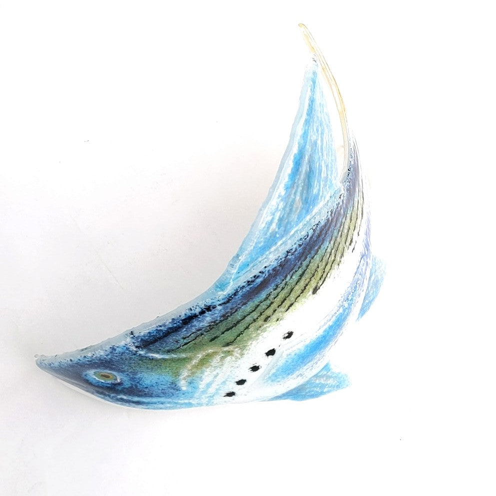 Curved Fish Curved Fish – Styll Gallery